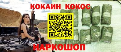 крисы Шебекино