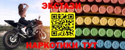 крисы Шебекино