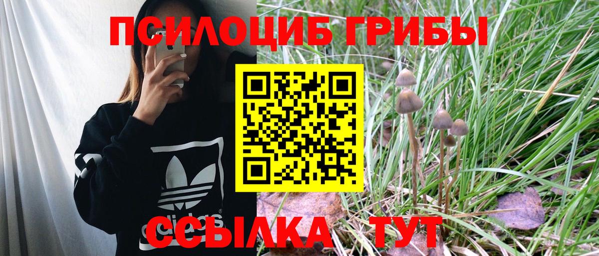 Псилоцибиновые грибы MAGIC MUSHROOMS Сунжа